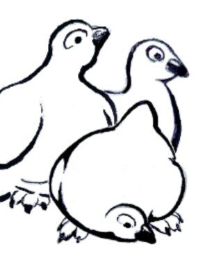 Meet your Posher, Ptarmigan Treasures